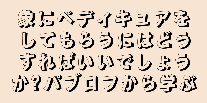 象にペディキュアをしてもらうにはどうすればいいでしょうか?パブロフから学ぶ