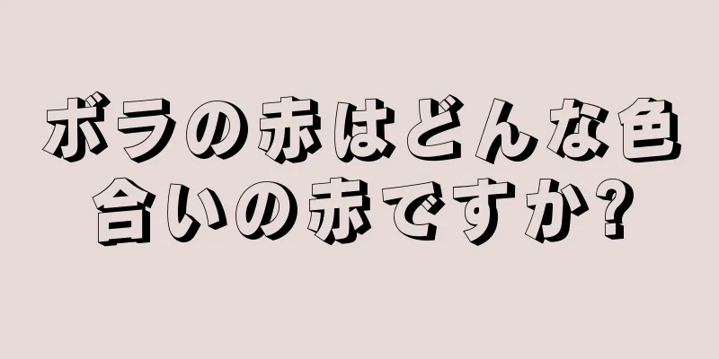 ボラの赤はどんな色合いの赤ですか?