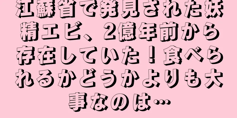 江蘇省で発見された妖精エビ、2億年前から存在していた！食べられるかどうかよりも大事なのは…