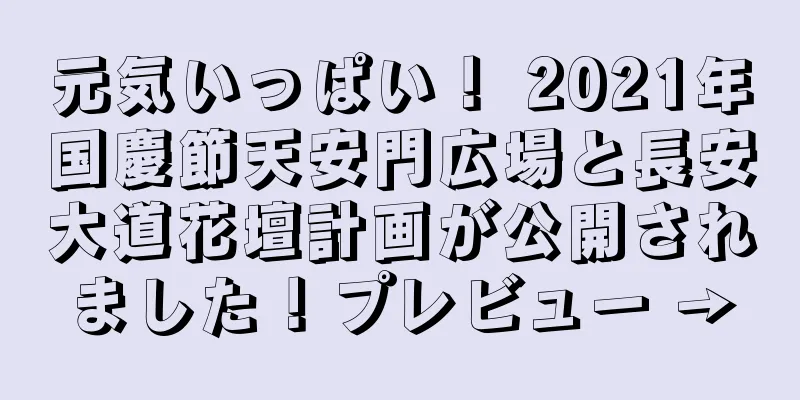元気いっぱい！ 2021年国慶節天安門広場と長安大道花壇計画が公開されました！プレビュー →