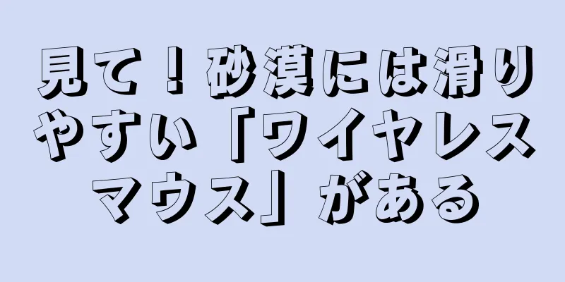 見て！砂漠には滑りやすい「ワイヤレスマウス」がある