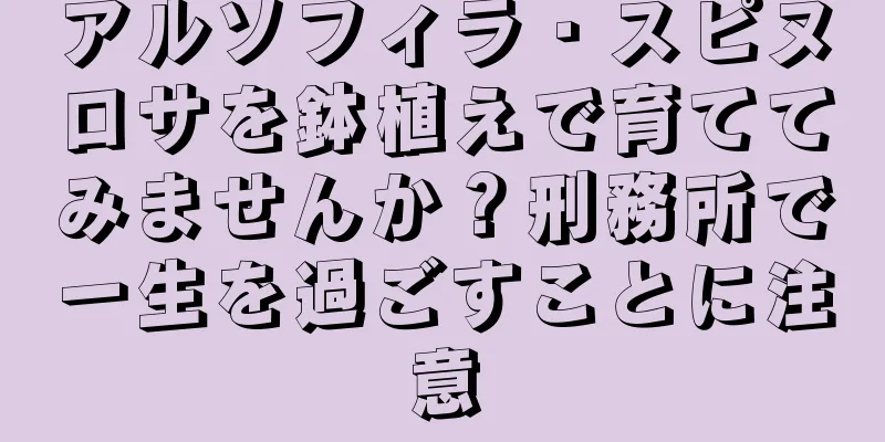 アルソフィラ・スピヌロサを鉢植えで育ててみませんか？刑務所で一生を過ごすことに注意