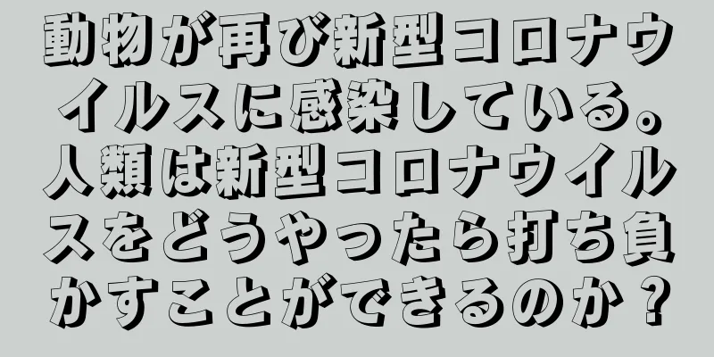 動物が再び新型コロナウイルスに感染している。人類は新型コロナウイルスをどうやったら打ち負かすことができるのか？