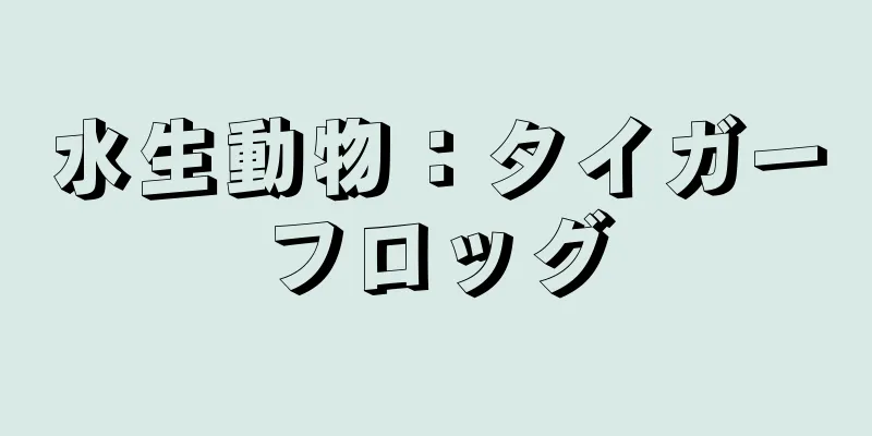 水生動物：タイガーフロッグ