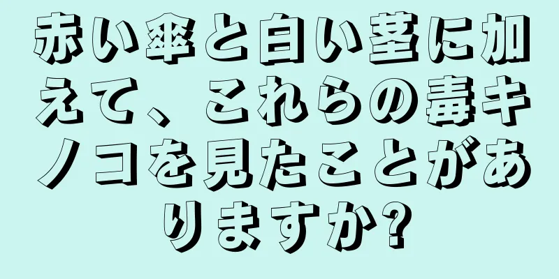 赤い傘と白い茎に加えて、これらの毒キノコを見たことがありますか?