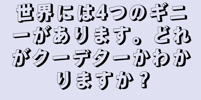 世界には4つのギニーがあります。どれがクーデターかわかりますか？