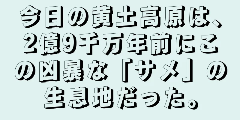 今日の黄土高原は、2億9千万年前にこの凶暴な「サメ」の生息地だった。