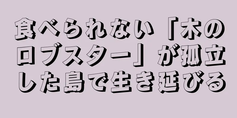 食べられない「木のロブスター」が孤立した島で生き延びる