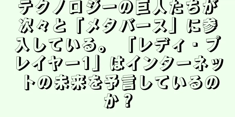 テクノロジーの巨人たちが次々と「メタバース」に参入している。 「レディ・プレイヤー1」はインターネットの未来を予言しているのか？