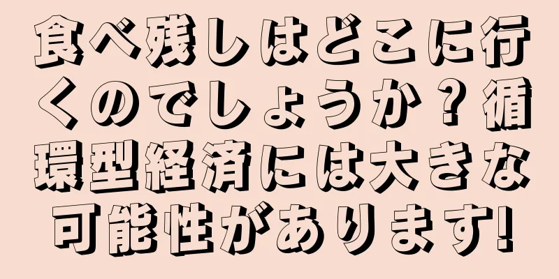食べ残しはどこに行くのでしょうか？循環型経済には大きな可能性があります!