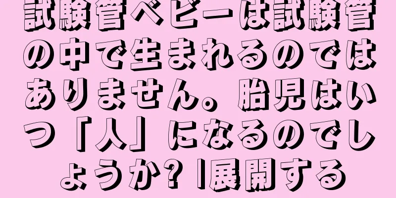 試験管ベビーは試験管の中で生まれるのではありません。胎児はいつ「人」になるのでしょうか? |展開する
