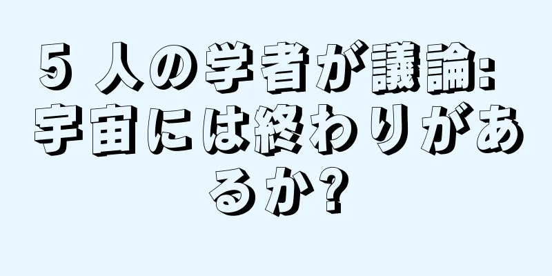 5 人の学者が議論: 宇宙には終わりがあるか?