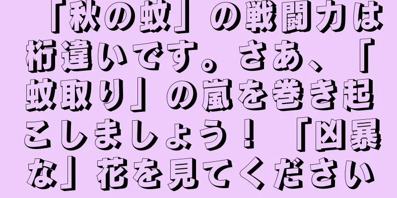 「秋の蚊」の戦闘力は桁違いです。さあ、「蚊取り」の嵐を巻き起こしましょう！ 「凶暴な」花を見てください