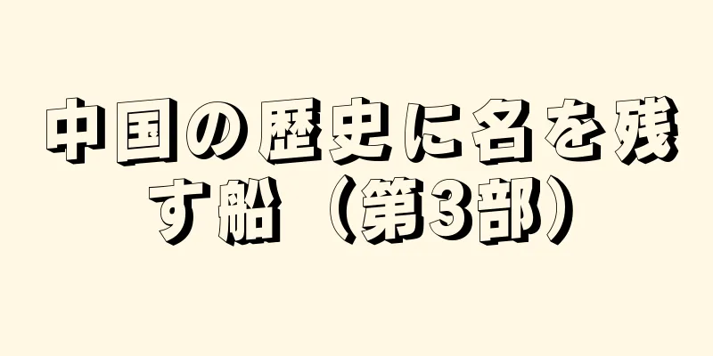 中国の歴史に名を残す船（第3部）