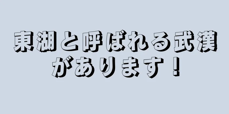 東湖と呼ばれる武漢があります！