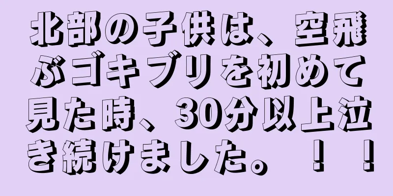 北部の子供は、空飛ぶゴキブリを初めて見た時、30分以上泣き続けました。 ！ ！