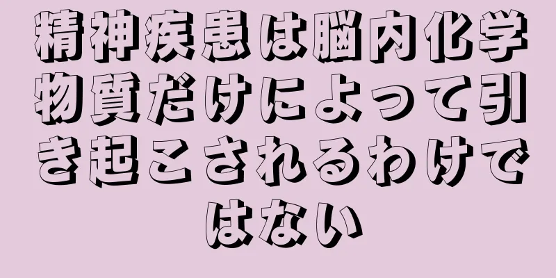 精神疾患は脳内化学物質だけによって引き起こされるわけではない