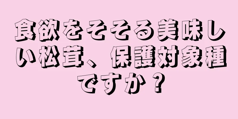 食欲をそそる美味しい松茸、保護対象種ですか？