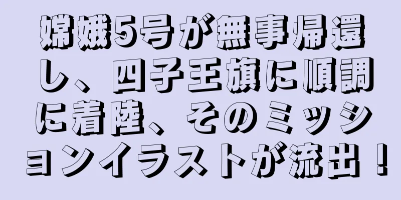 嫦娥5号が無事帰還し、四子王旗に順調に着陸、そのミッションイラストが流出！