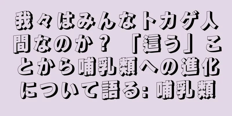 我々はみんなトカゲ人間なのか？ 「這う」ことから哺乳類への進化について語る: 哺乳類