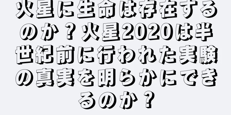火星に生命は存在するのか？火星2020は半世紀前に行われた実験の真実を明らかにできるのか？