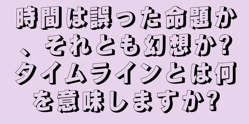 時間は誤った命題か、それとも幻想か?タイムラインとは何を意味しますか?