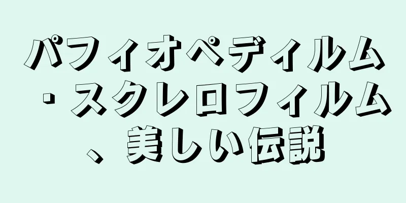パフィオペディルム・スクレロフィルム、美しい伝説