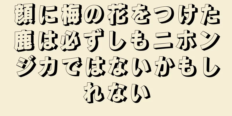 顔に梅の花をつけた鹿は必ずしもニホンジカではないかもしれない