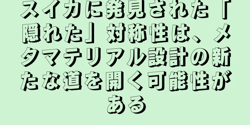 スイカに発見された「隠れた」対称性は、メタマテリアル設計の新たな道を開く可能性がある