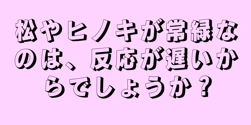 松やヒノキが常緑なのは、反応が遅いからでしょうか？