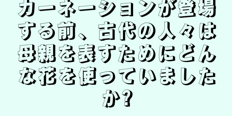 カーネーションが登場する前、古代の人々は母親を表すためにどんな花を使っていましたか?