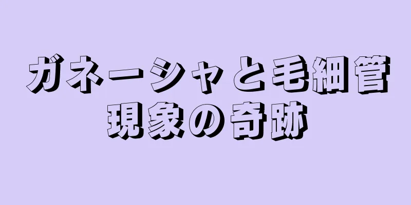 ガネーシャと毛細管現象の奇跡