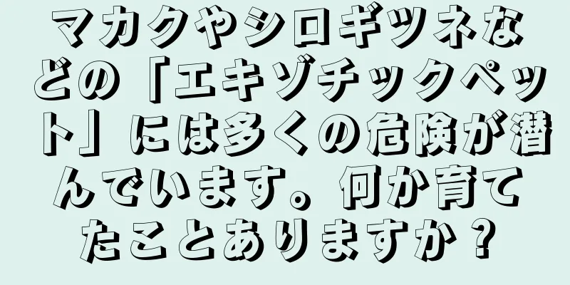 マカクやシロギツネなどの「エキゾチックペット」には多くの危険が潜んでいます。何か育てたことありますか？