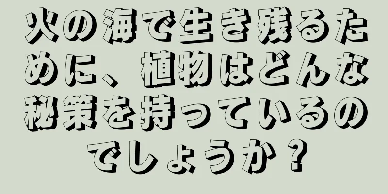火の海で生き残るために、植物はどんな秘策を持っているのでしょうか？