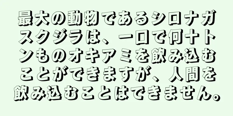 最大の動物であるシロナガスクジラは、一口で何十トンものオキアミを飲み込むことができますが、人間を飲み込むことはできません。