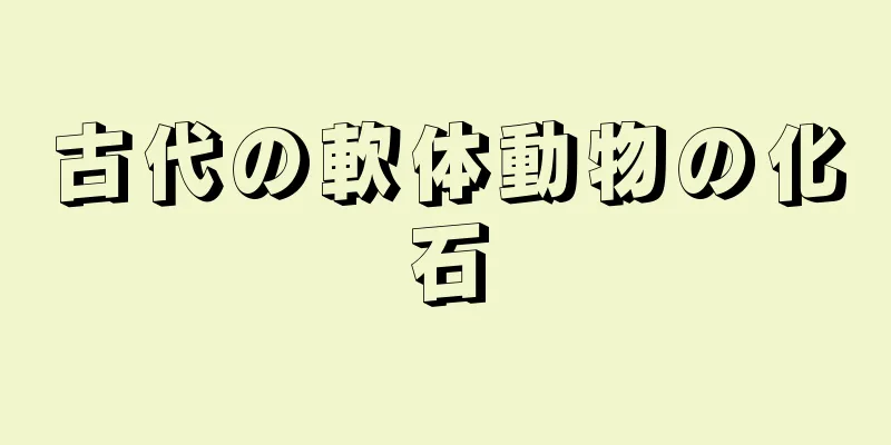 古代の軟体動物の化石