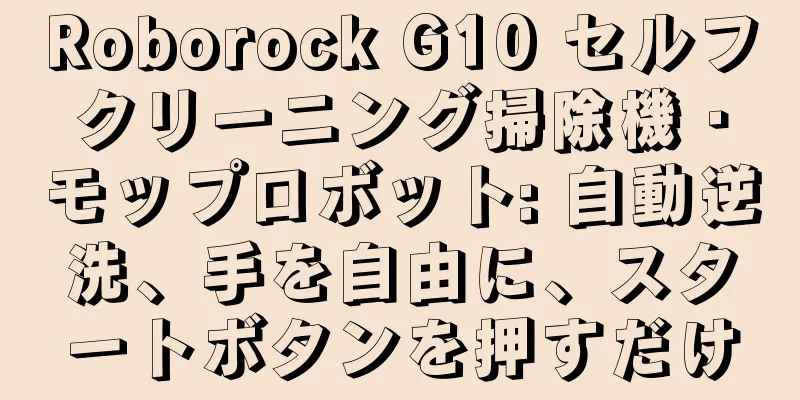 Roborock G10 セルフクリーニング掃除機・モップロボット: 自動逆洗、手を自由に、スタートボタンを押すだけ