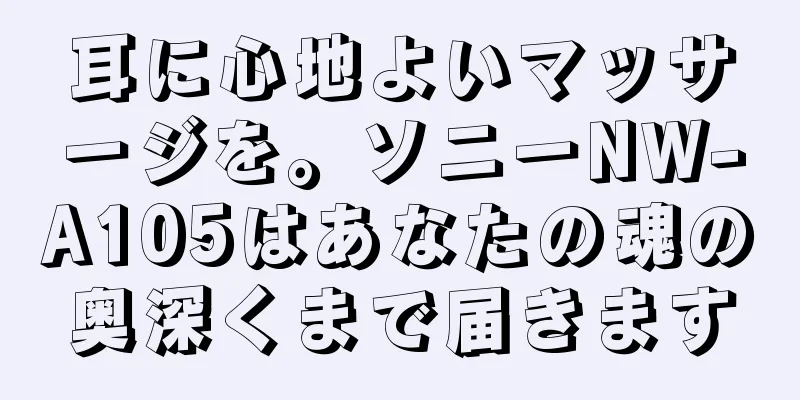 耳に心地よいマッサージを。ソニーNW-A105はあなたの魂の奥深くまで届きます