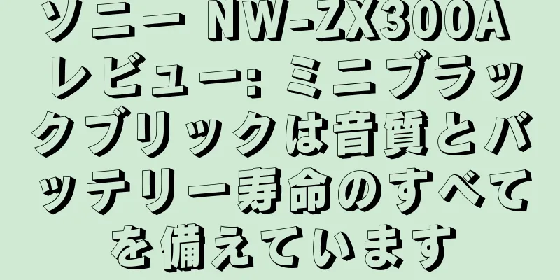 ソニー NW-ZX300A レビュー: ミニブラックブリックは音質とバッテリー寿命のすべてを備えています