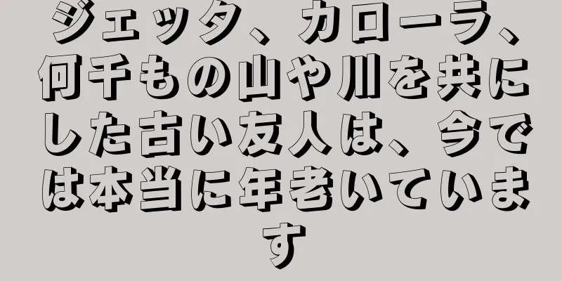 ジェッタ、カローラ、何千もの山や川を共にした古い友人は、今では本当に年老いています