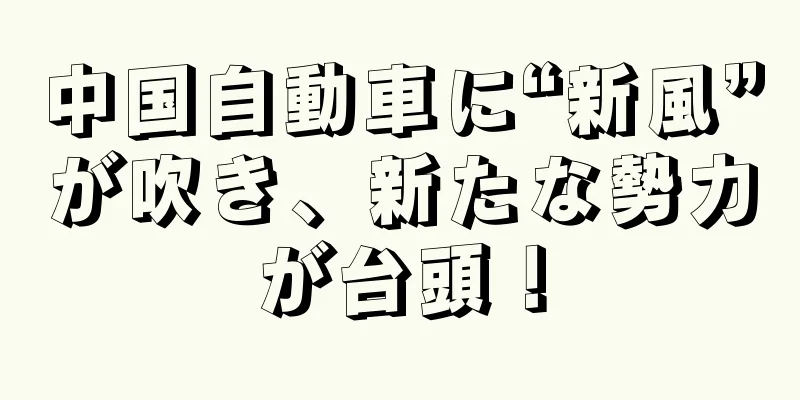 中国自動車に“新風”が吹き、新たな勢力が台頭！
