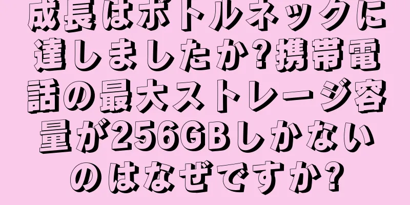 成長はボトルネックに達しましたか?携帯電話の最大ストレージ容量が256GBしかないのはなぜですか?