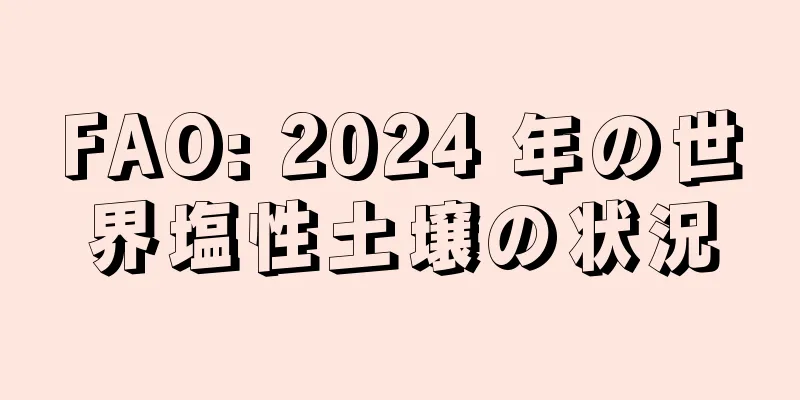 FAO: 2024 年の世界塩性土壌の状況