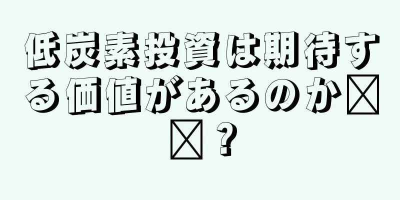 低炭素投資は期待する価値があるのか​​？