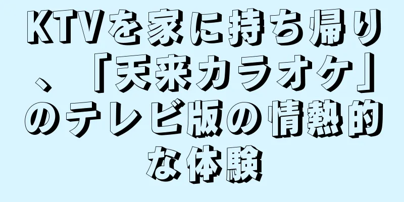 KTVを家に持ち帰り、「天来カラオケ」のテレビ版の情熱的な体験