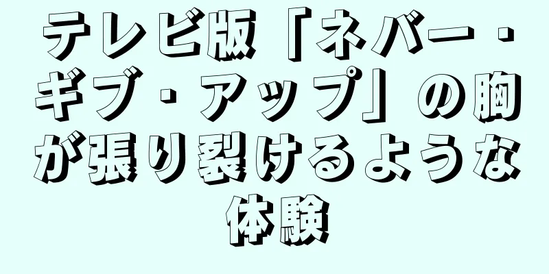 テレビ版「ネバー・ギブ・アップ」の胸が張り裂けるような体験