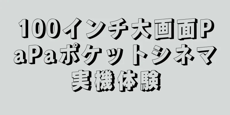 100インチ大画面PaPaポケットシネマ実機体験