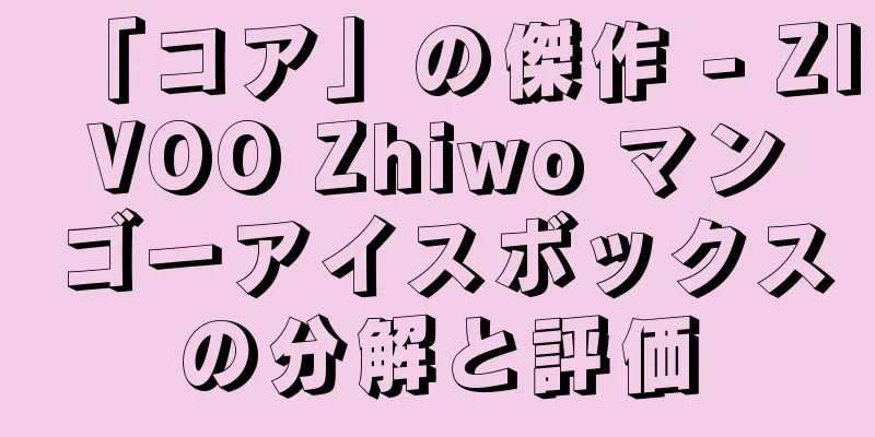 「コア」の傑作 - ZIVOO Zhiwo マンゴーアイスボックスの分解と評価
