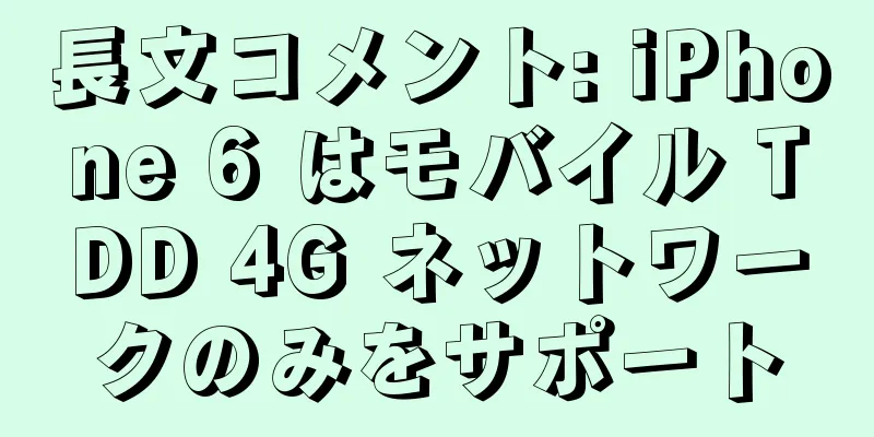 長文コメント: iPhone 6 はモバイル TDD 4G ネットワークのみをサポート