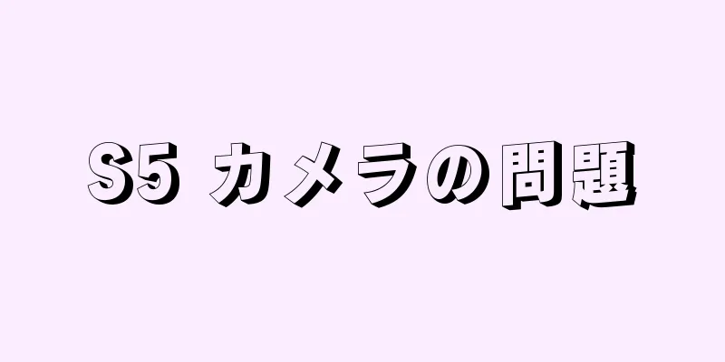 S5 カメラの問題